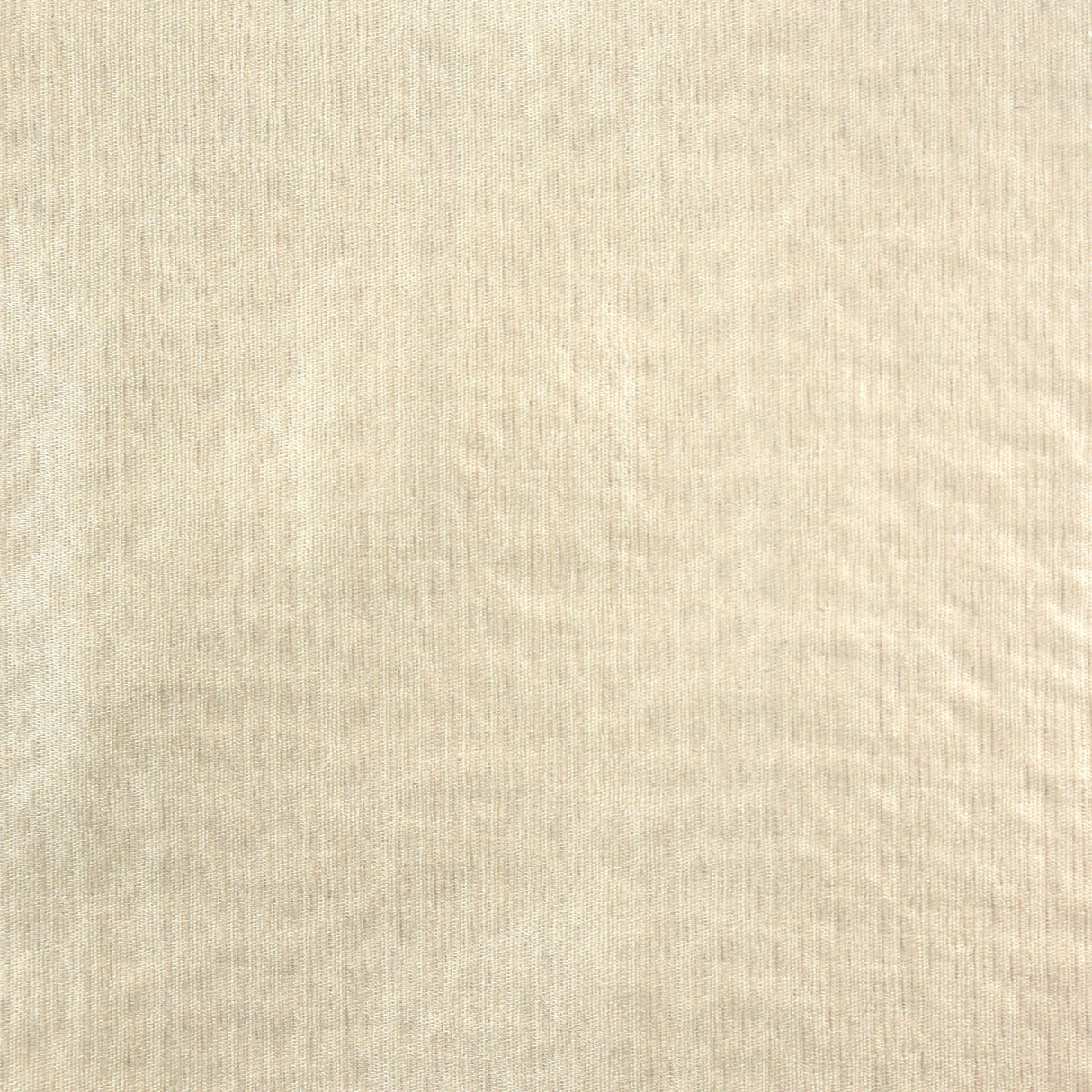 Ann Gish Champagne Hammered - unquilted