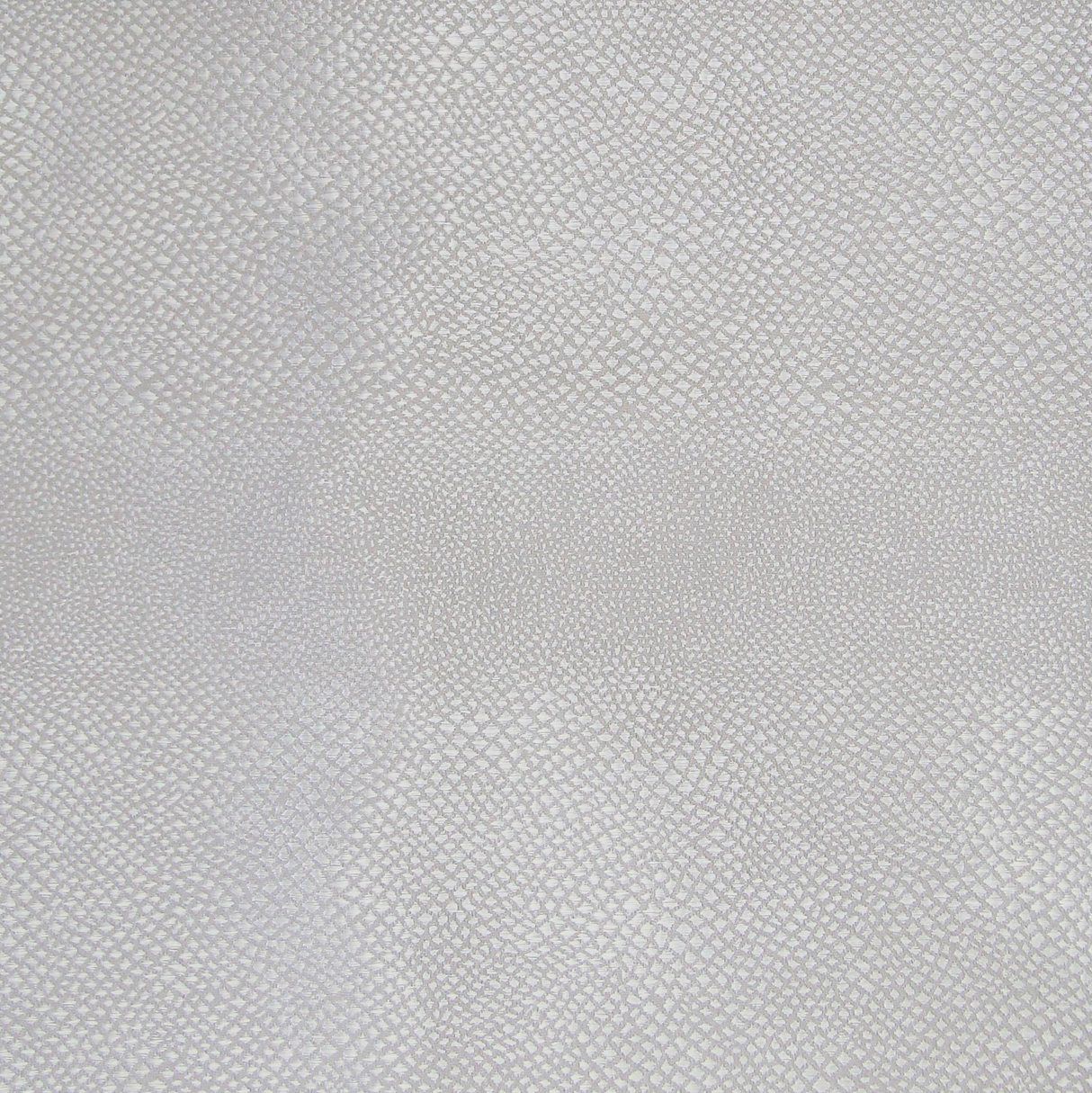 Ann Gish Pearl Komodo
