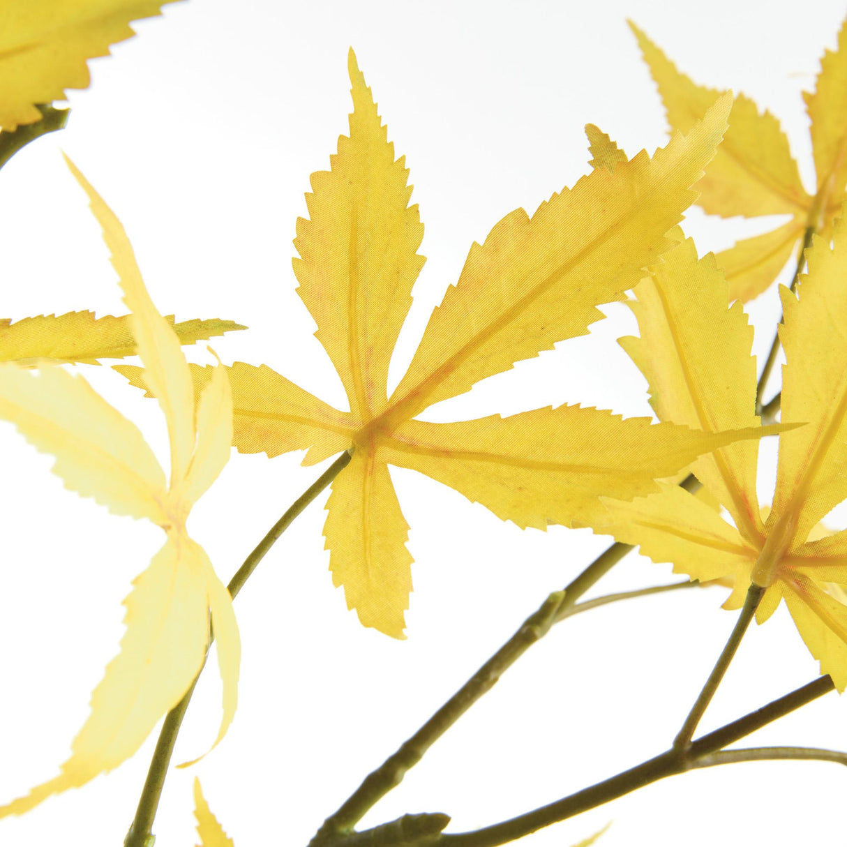 Napa  MAPLE LEAF BRANCHES 41" ST/2