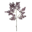 Napa  MAPLE SPRAY 71"