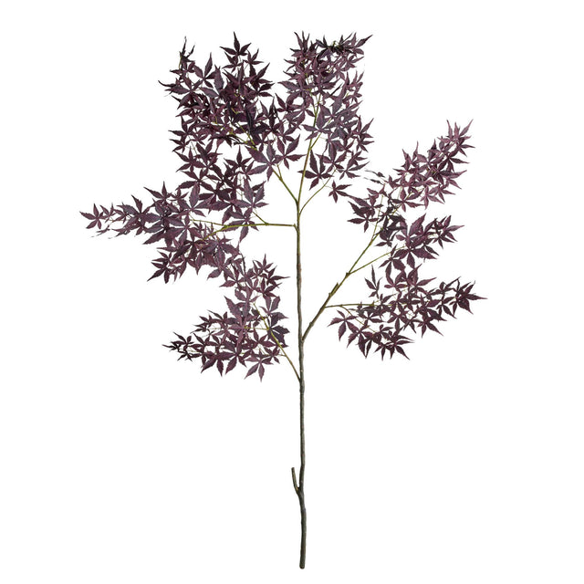 Napa  MAPLE SPRAY 71"