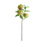 Napa  APPLE BRANCHES 20" ST/4