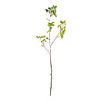 Napa  CRABAPPLE BRANCHES 45" ST/2