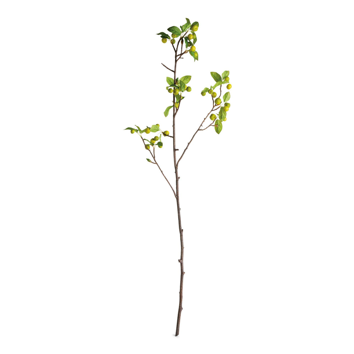 Napa  CRABAPPLE BRANCHES 45" ST/2