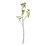 Napa  CRABAPPLE BRANCHES 45" ST/2