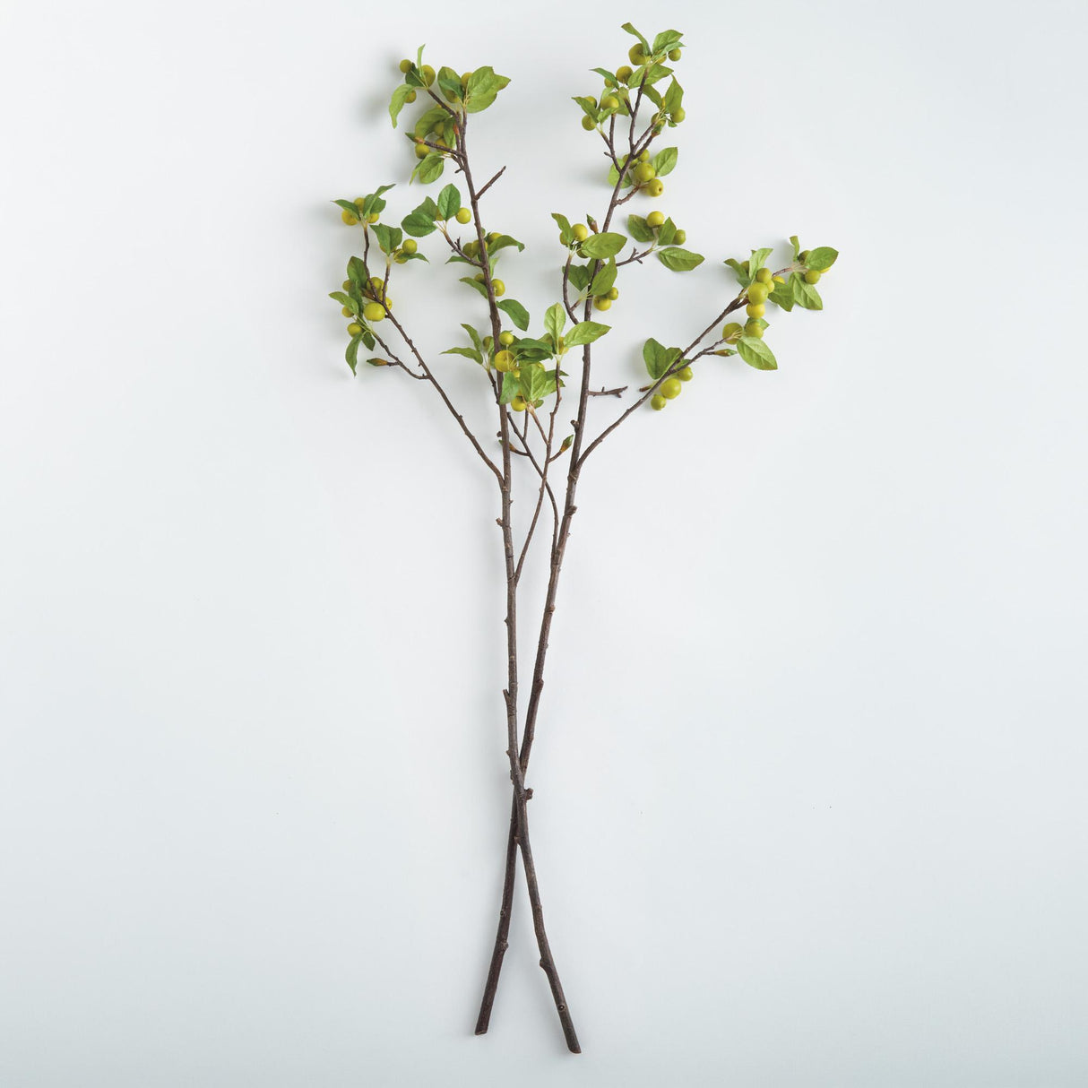 Napa  CRABAPPLE BRANCHES 45" ST/2