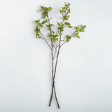 Napa  CRABAPPLE BRANCHES 45" ST/2