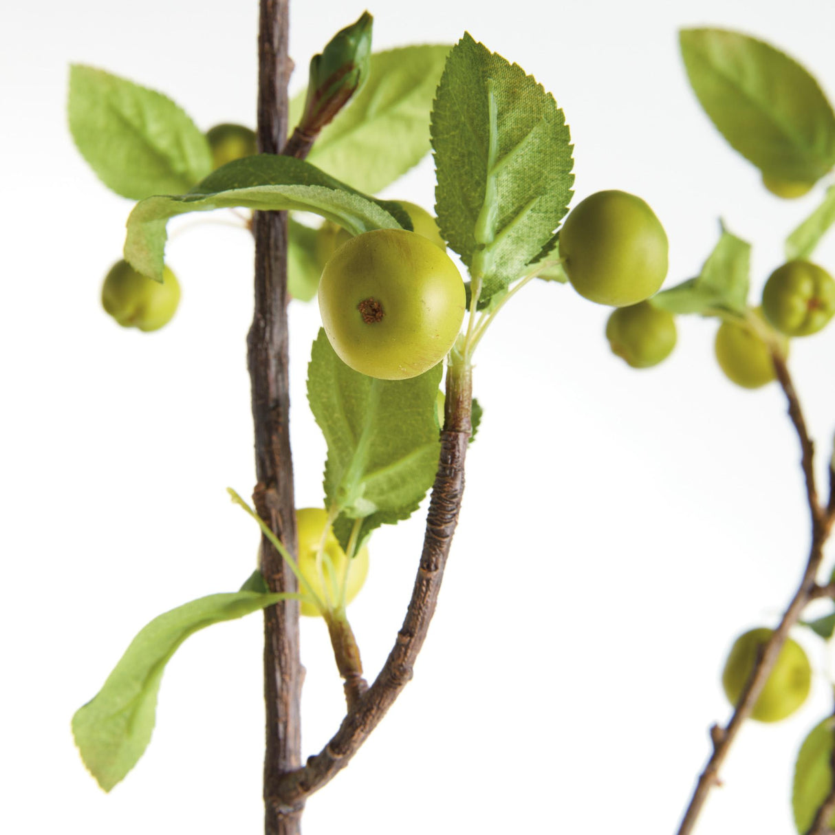 Napa  CRABAPPLE BRANCHES 45" ST/2