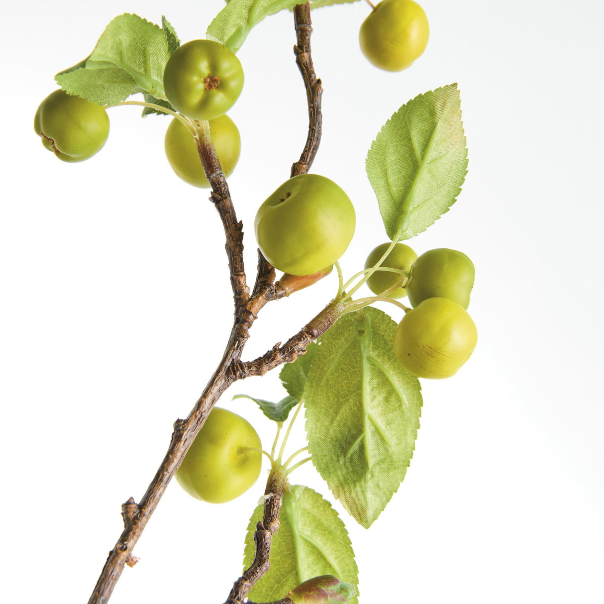Napa  CRABAPPLE BRANCHES 45" ST/2