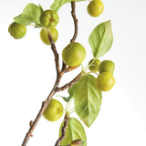 Napa  CRABAPPLE BRANCHES 45" ST/2