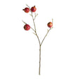Napa  POMEGRANATE BRANCHES 36" ST/4