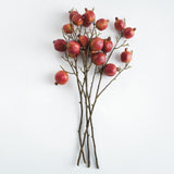 Napa  POMEGRANATE BRANCHES 36" ST/4