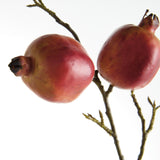 Napa  POMEGRANATE BRANCHES 36" ST/4