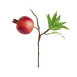 Napa  POMEGRANATE PICKS 10" ST/4