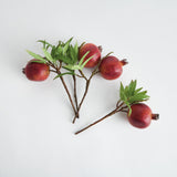 Napa  POMEGRANATE PICKS 10" ST/4