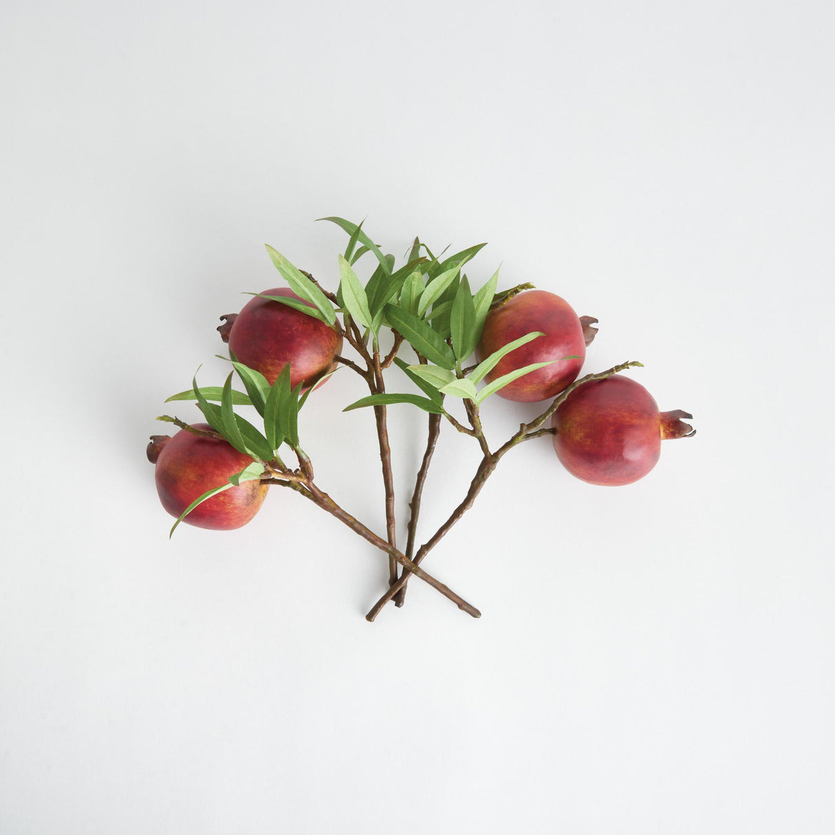 Napa  POMEGRANATE PICKS 10" ST/4