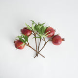 Napa  POMEGRANATE PICKS 10" ST/4