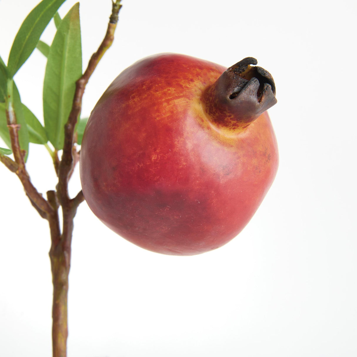 Napa  POMEGRANATE PICKS 10" ST/4