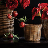Napa  POMEGRANATE PICKS 10" ST/4