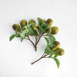 Napa  PEAR PICKS 9.5" ST/4