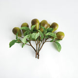 Napa  PEAR PICKS 9.5" ST/4