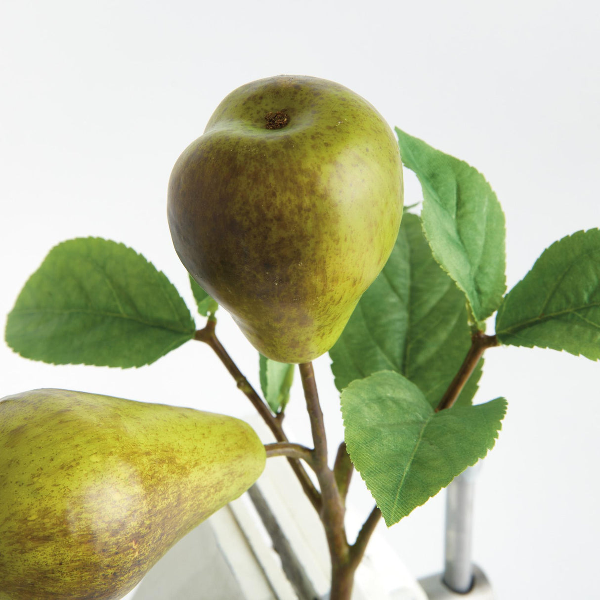 Napa  PEAR PICKS 9.5" ST/4