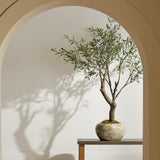 Napa  PROVINCE LOTUS PLANTER LARGE