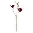 Napa  MAGNOLIA STEMS 27" ST/4