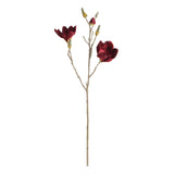 Napa  MAGNOLIA STEMS 27" ST/4