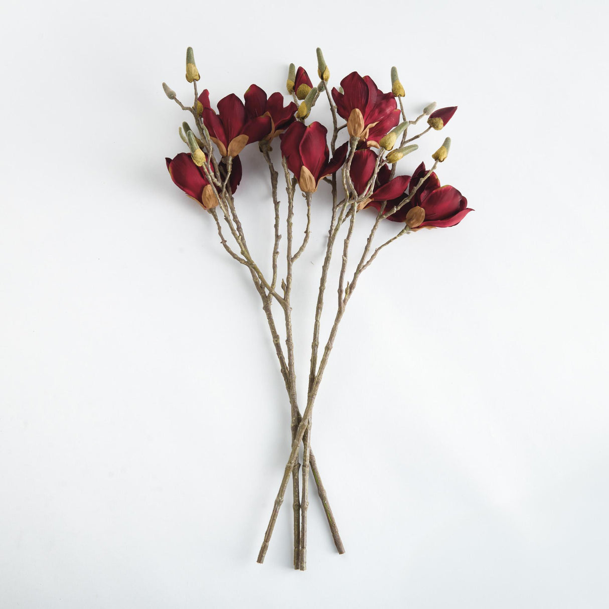Napa  MAGNOLIA STEMS 27" ST/4