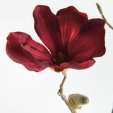 Napa  MAGNOLIA STEMS 27" ST/4