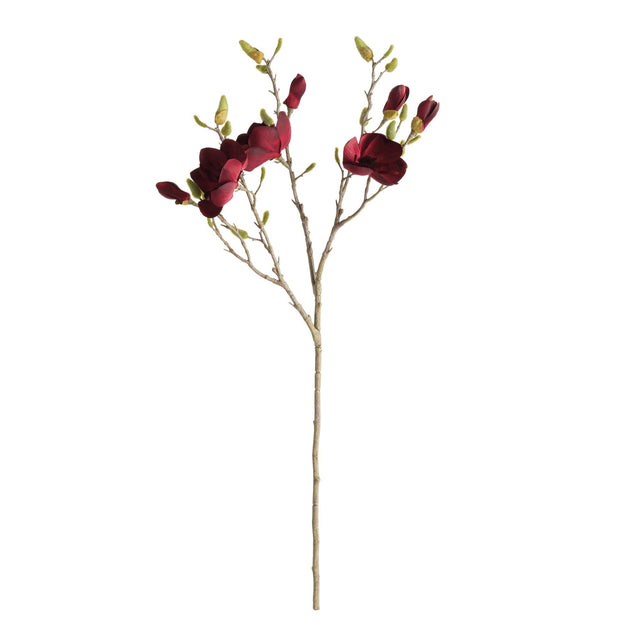 Napa  MAGNOLIA BRANCHES 34" ST/4