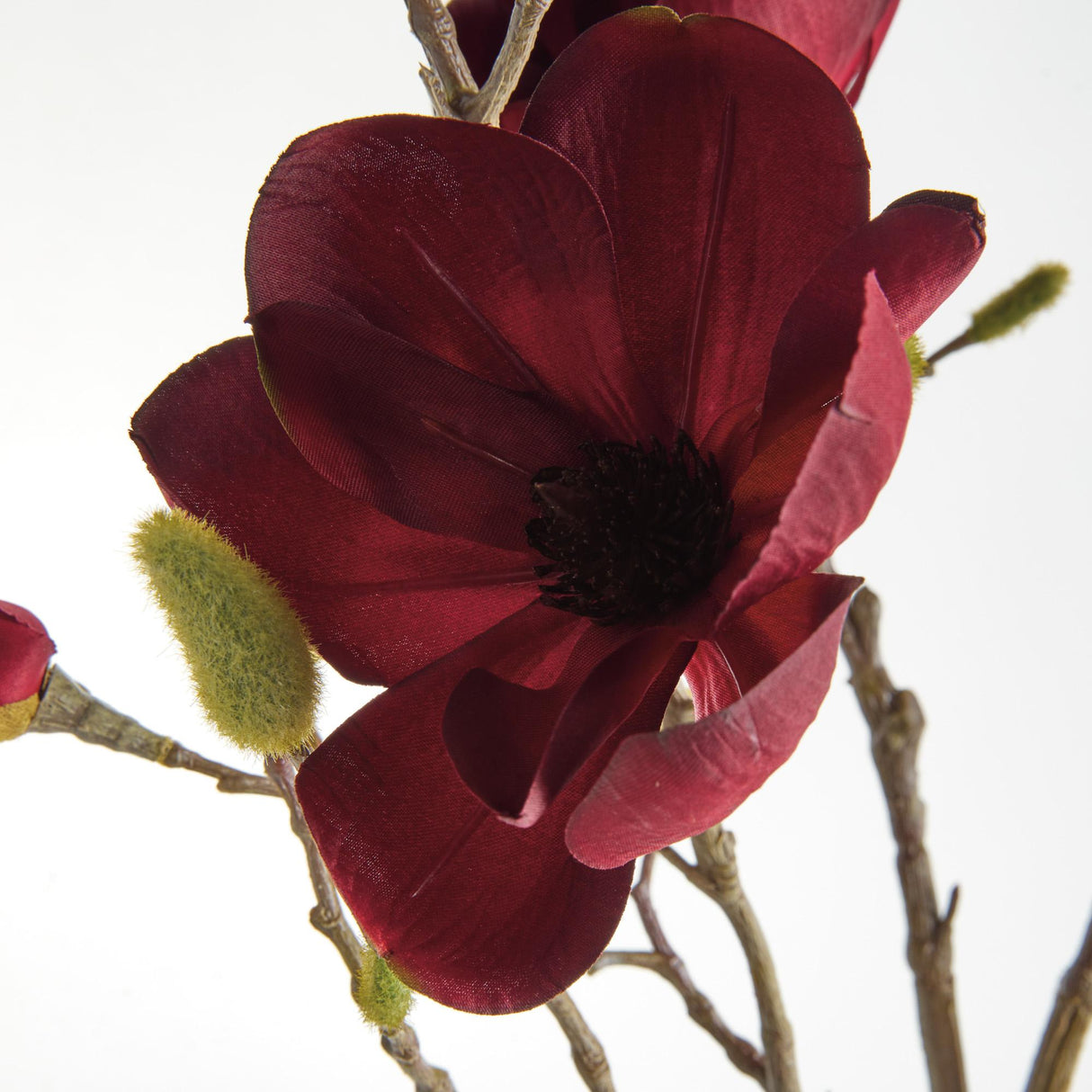 Napa  MAGNOLIA BRANCHES 34" ST/4