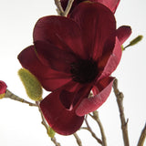 Napa  MAGNOLIA BRANCHES 34" ST/4