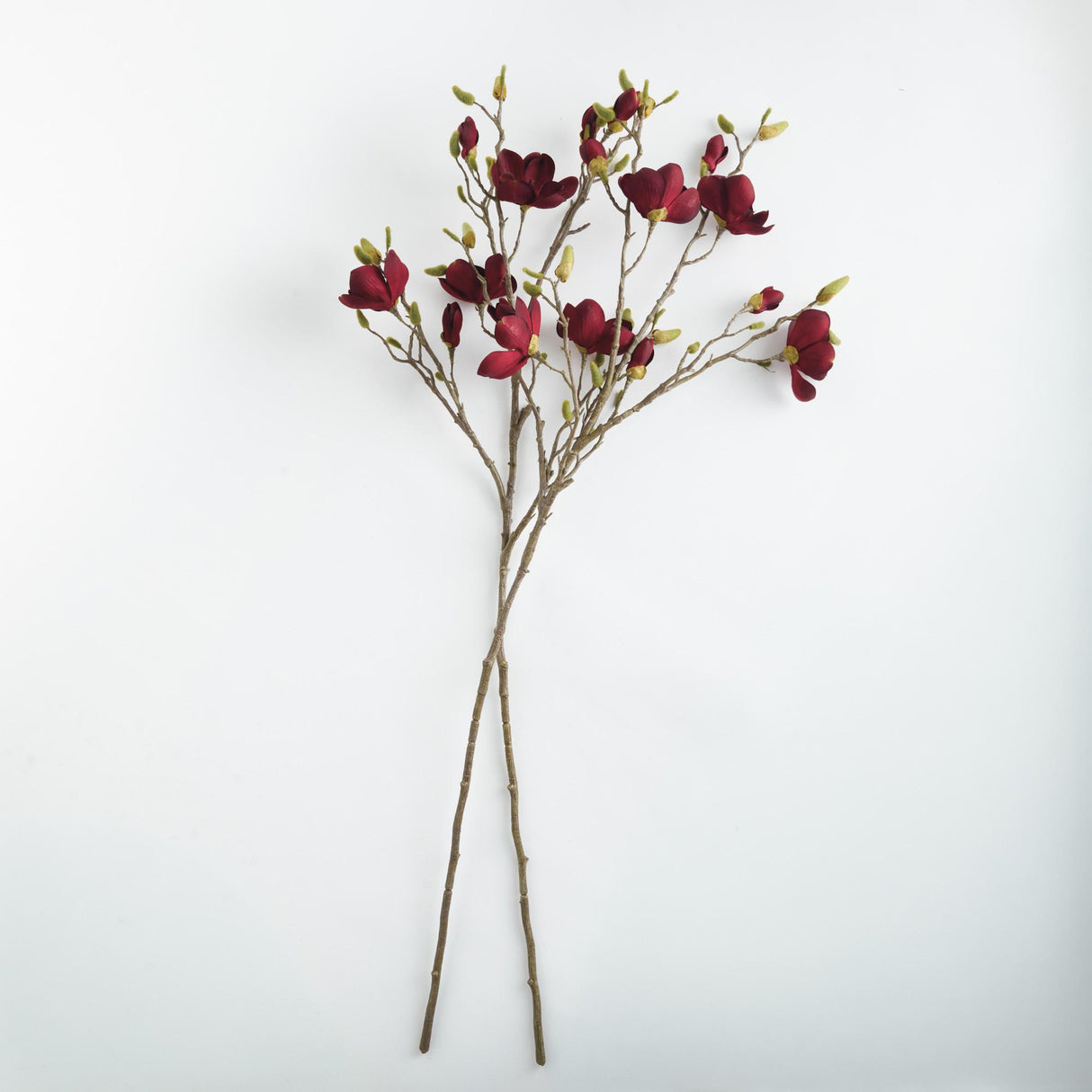 Napa  MAGNOLIA BRANCHES 50" ST/2