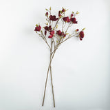 Napa  MAGNOLIA BRANCHES 50" ST/2