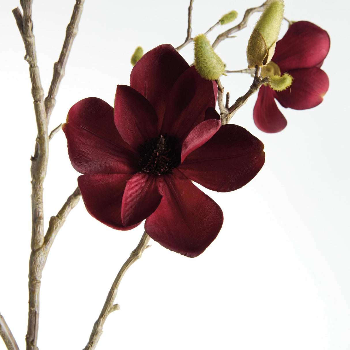 Napa  MAGNOLIA BRANCHES 50" ST/2
