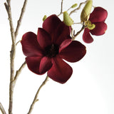 Napa  MAGNOLIA BRANCHES 50" ST/2