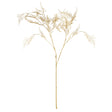Napa  GILDED FERN STEMS 36" ST/4