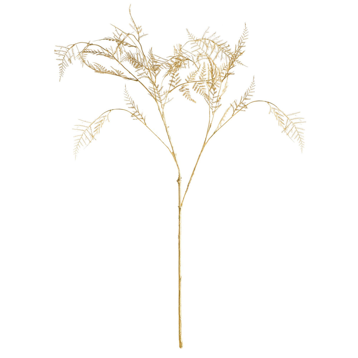 Napa  GILDED FERN STEMS 36" ST/4