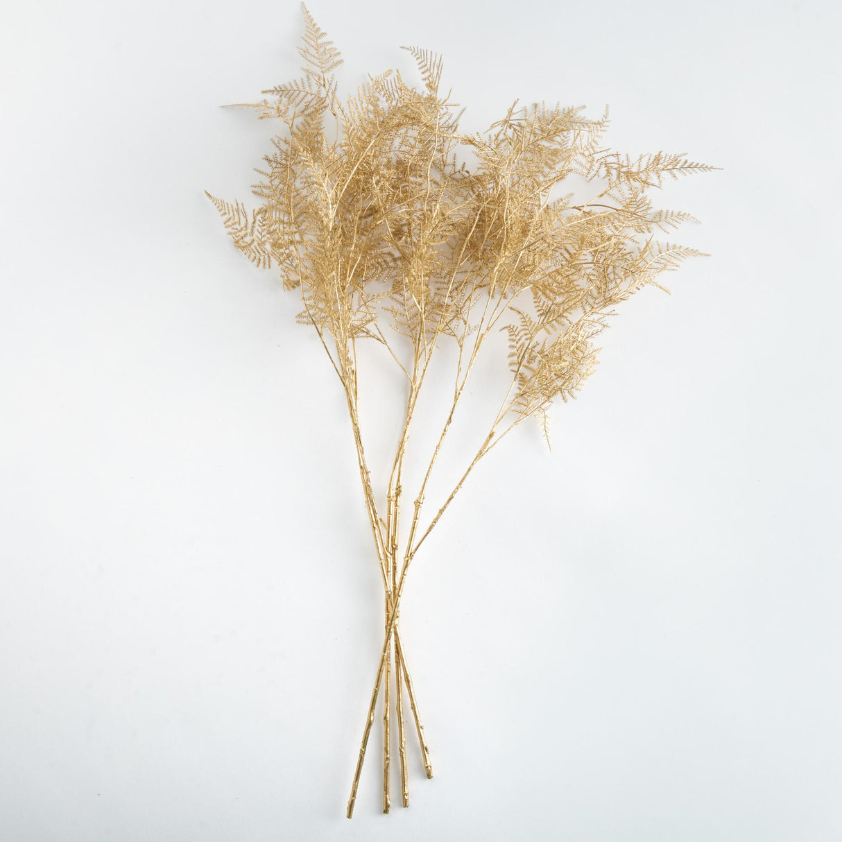 Napa  GILDED FERN STEMS 36" ST/4