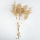 Napa  GILDED FERN STEMS 36" ST/4