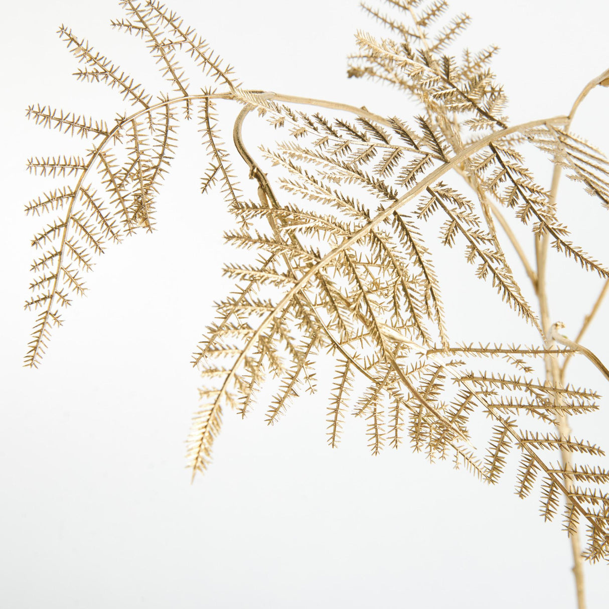Napa  GILDED FERN STEMS 36" ST/4