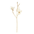Napa  GILDED MAGNOLIA STEMS 27" ST/6