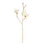 Napa  GILDED MAGNOLIA STEMS 27" ST/6