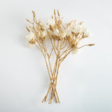 Napa  GILDED MAGNOLIA STEMS 27" ST/6