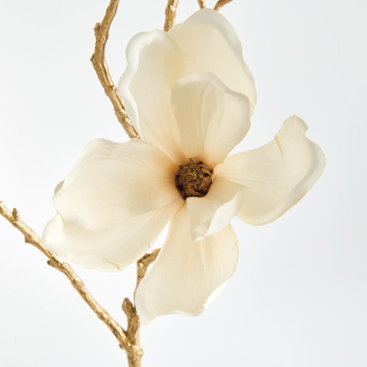 Napa  GILDED MAGNOLIA STEMS 27" ST/6