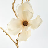 Napa  GILDED MAGNOLIA STEMS 27" ST/6