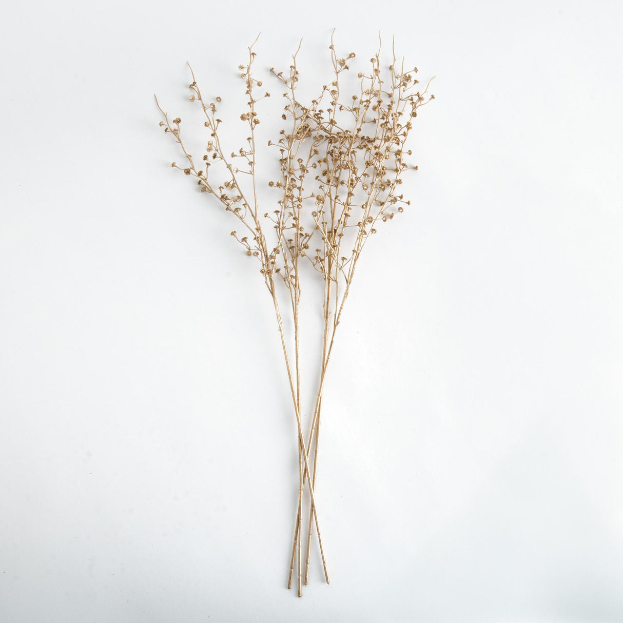 Napa  GILDED BABY'S BREATH STEMS 31" ST/4
