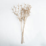 Napa  GILDED BABY'S BREATH STEMS 31" ST/4